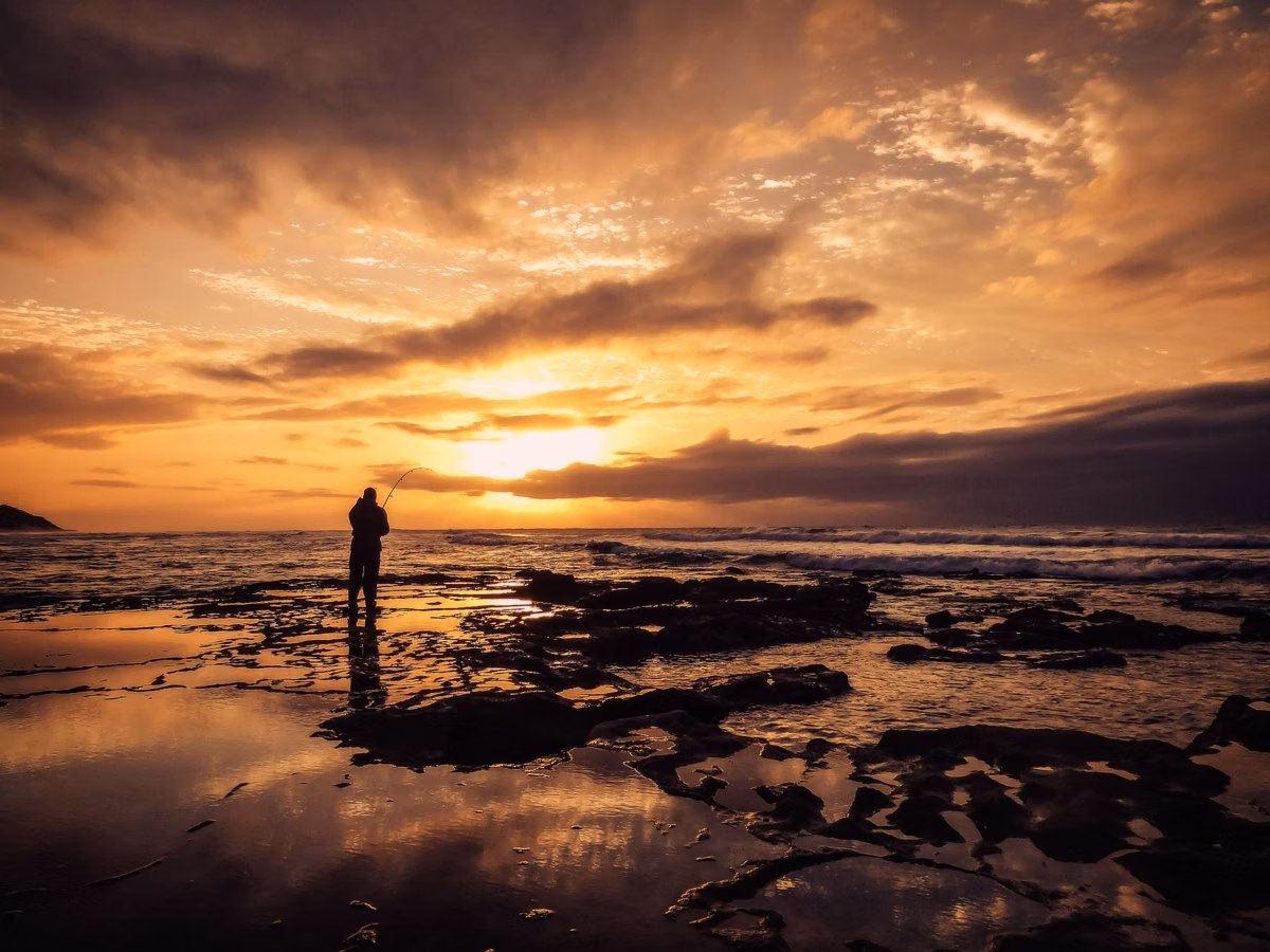 A person fishing from low-tide rocks at sunset
