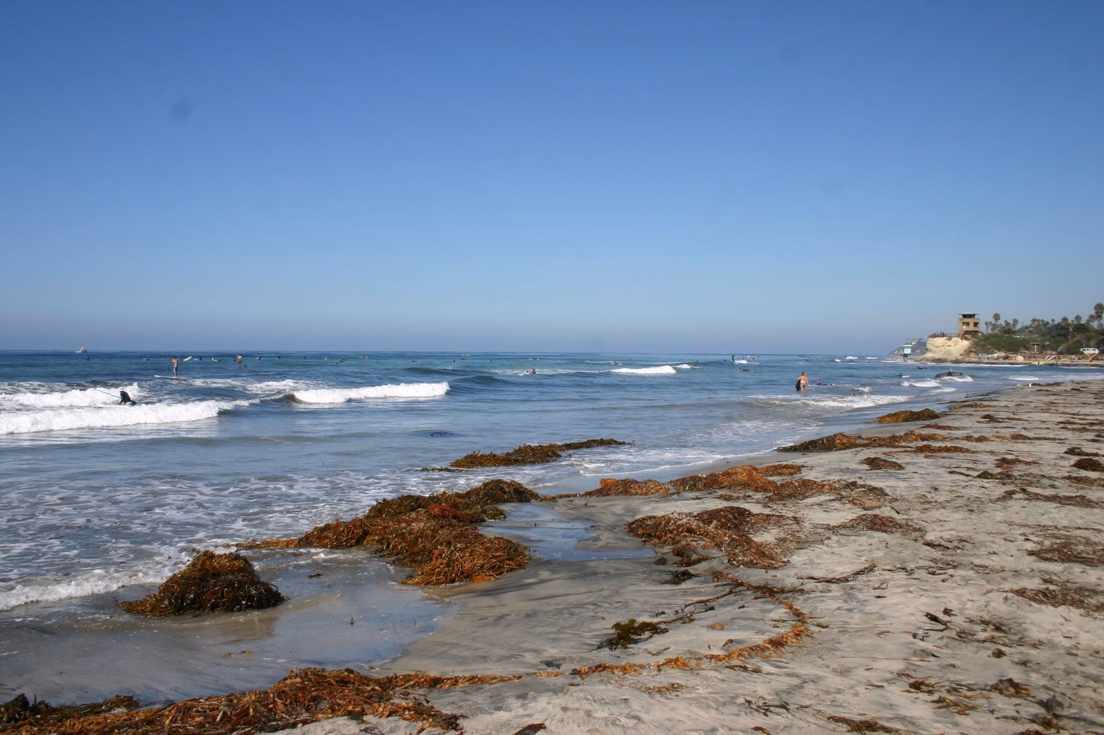 Low-tide reef rocks and kelp on the beach at Cardiff, looking north toward Swami's